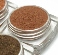 Earthly Eyeshadow